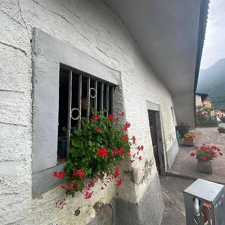 Casa Vacanze Il Pettirosso. Pisogne Exterior foto