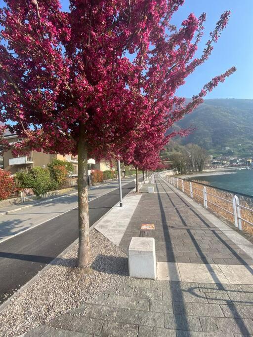 Casa Vacanze Il Pettirosso. Pisogne Exterior foto